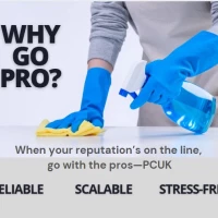 Professional Cleaners 6